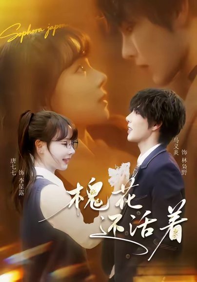 槐花还活着（70集）马义炎＆唐七七 高清完整版