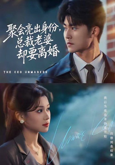 聚会亮出身份，总裁老婆却要离婚（81集）梅子健＆任柏玉 高清完整版