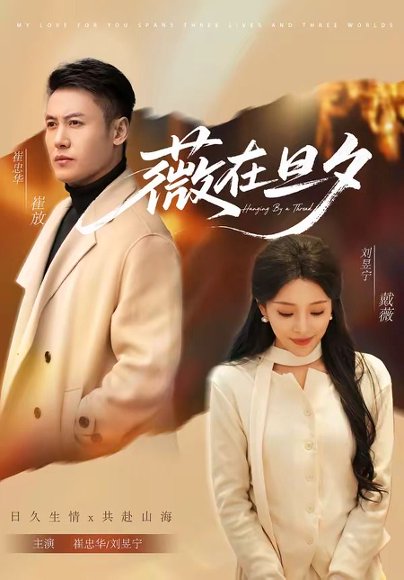 薇在旦夕（80集）崔忠华＆刘昱宁 高清完整版