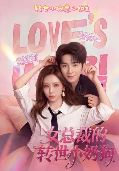 女总裁的转世小奶狗（30集）程钲中＆刘祖嫣 高清完整版
