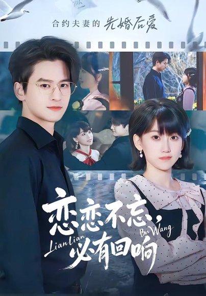 恋恋不忘，必有回响（80集）张埜＆杨乔语 高清完整版