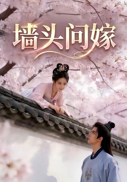 墙头问嫁（29集） 高清完整版