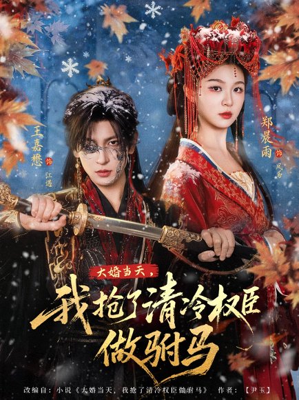 大婚当天，我抢了清冷权臣做驸马（73集）王嘉懋＆郑晨雨 高清完整版