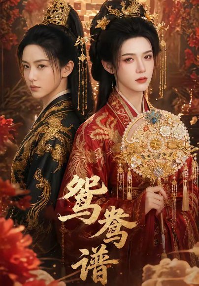 鸳鸯谱（20集） 高清完整版