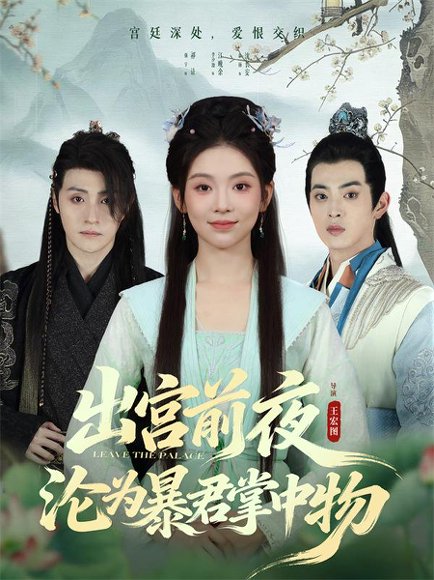 出宫前夜沦为暴君掌中物（57集）李汐溦&强宇 高清完整版