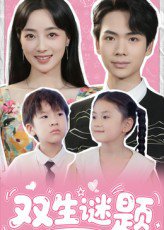 双生谜题（36集） 高清完整版