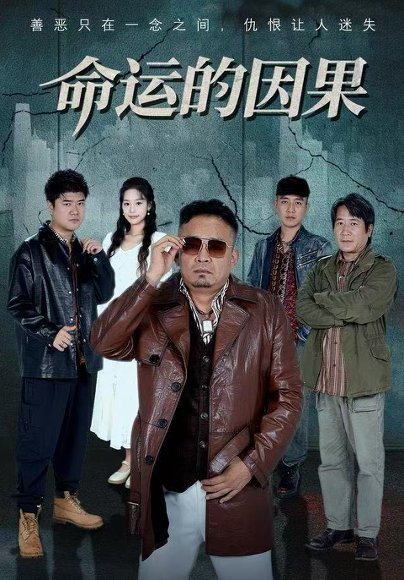 命运的因果（60集）贾楠&刘诣文 高清完整版