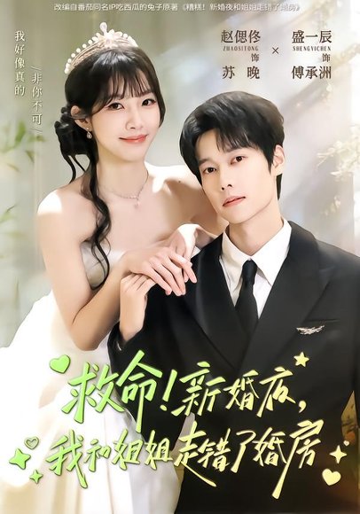 救命！新婚夜，我和姐姐走错了婚房（58集）盛一辰＆赵偲佟 高清完整版