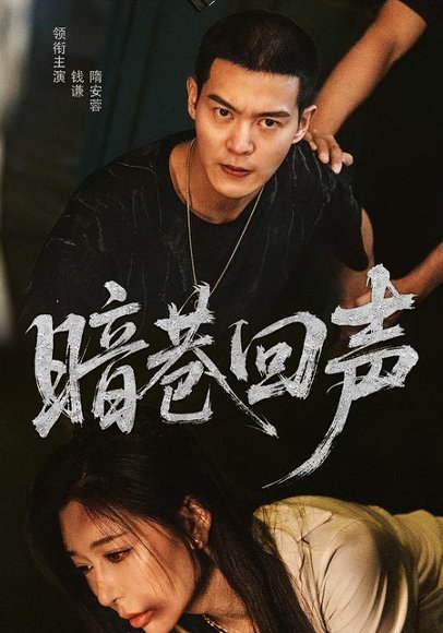 暗巷回声（100集）隋安蓉&钱谦 高清完整版