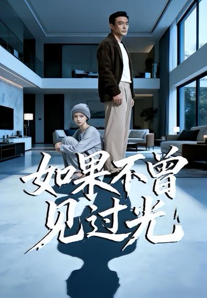 如果不曾见过光（25集）Ai短剧 高清完整版