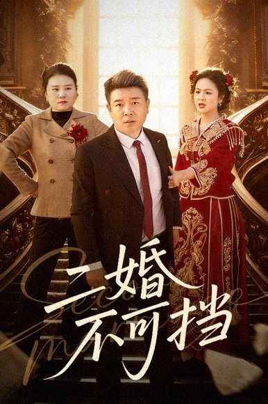 二婚不可挡（36集）任志宏&杨一 高清完整版