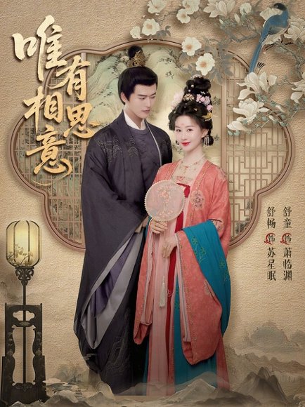 唯有相思意（100集）舒畅＆舒童 高清完整版