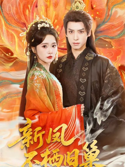 新凤不栖旧巢（62集）毛香淋＆夜逸 高清完整版