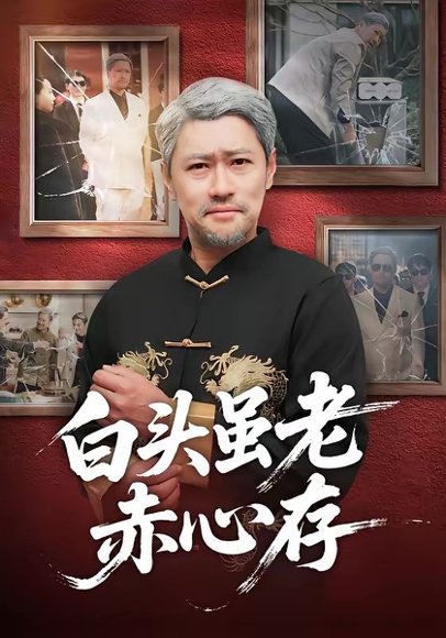 白头虽老赤心存（71集）王争＆王晨 高清完整版