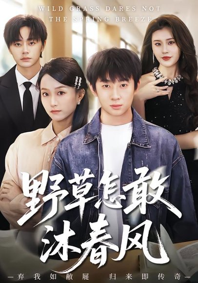 野草怎敢沐春风（61集）王楚＆周瑾阳 高清完整版