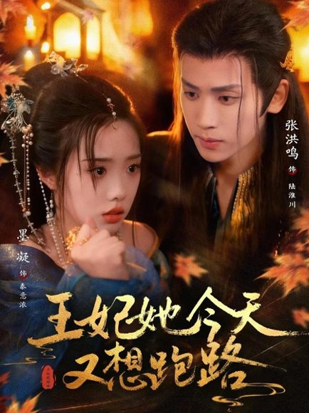 王妃她今天又想跑路（62集）张洪鸣＆墨凝 高清完整版