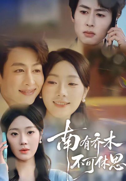 南有乔木，不可休思（68集）邢航铭&孔祥东 高清完整版