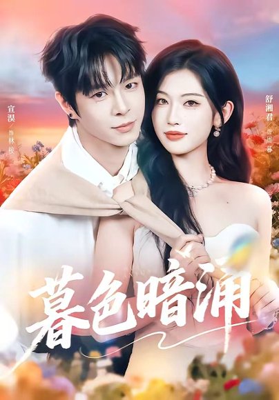 暮色暗涌（50集）宣淏＆舒湘君 高清完整版